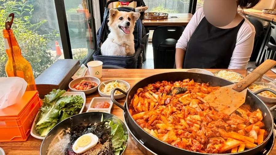 Closing image summarizing the Jayeon Dakgalbi visit
