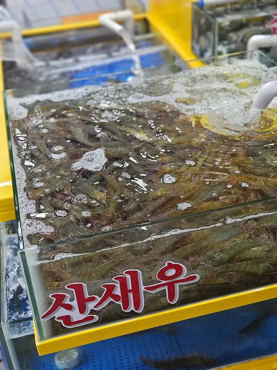 전어 광어 연어 주문 구성