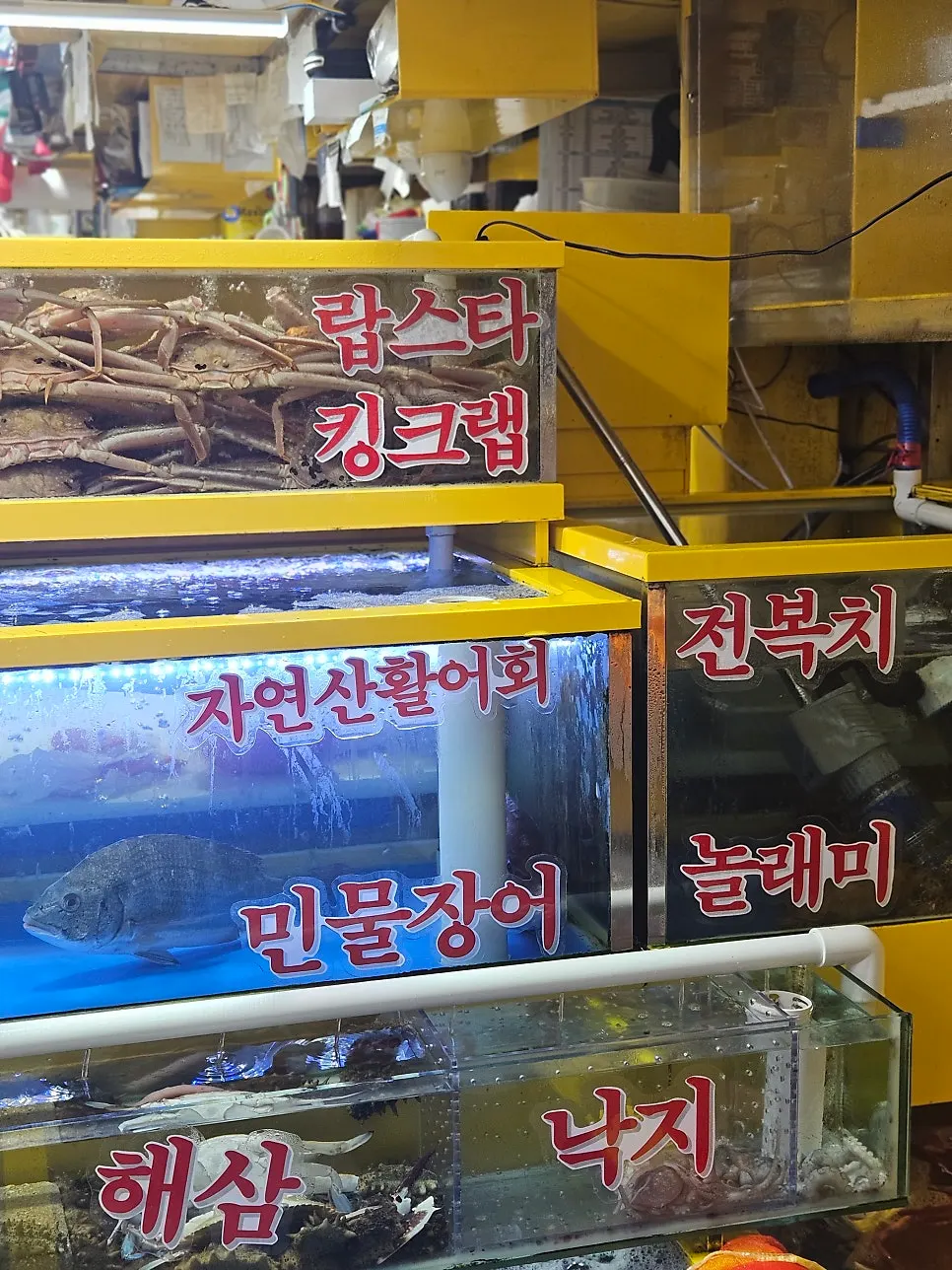 가을철 새우 해산물