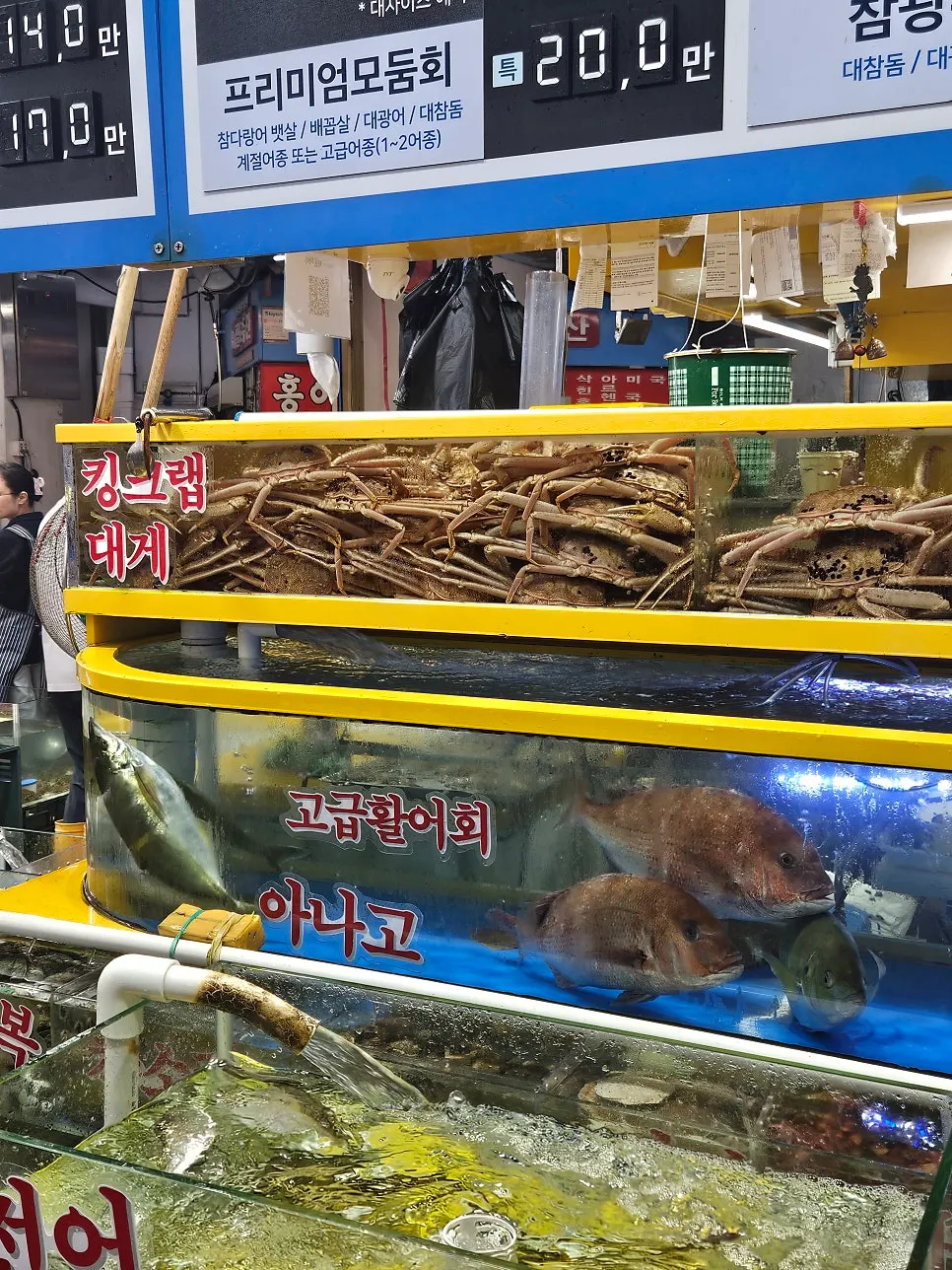 전어에 집중한 해산물 선택