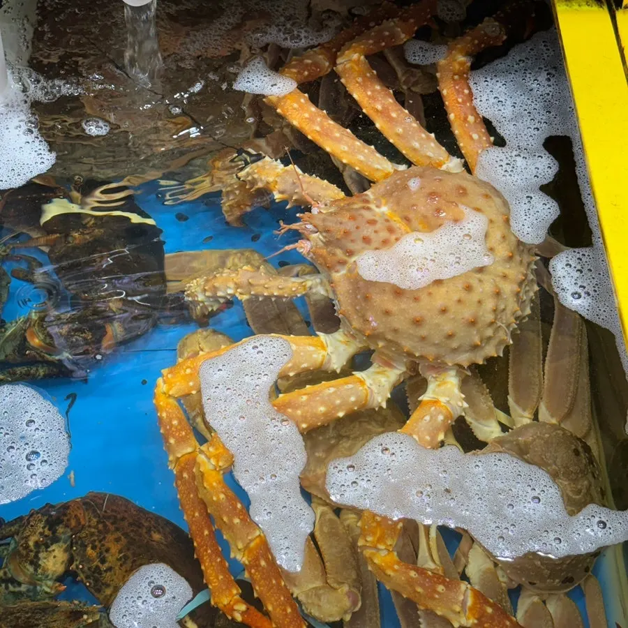 King crab tank at Yeongjae Susan