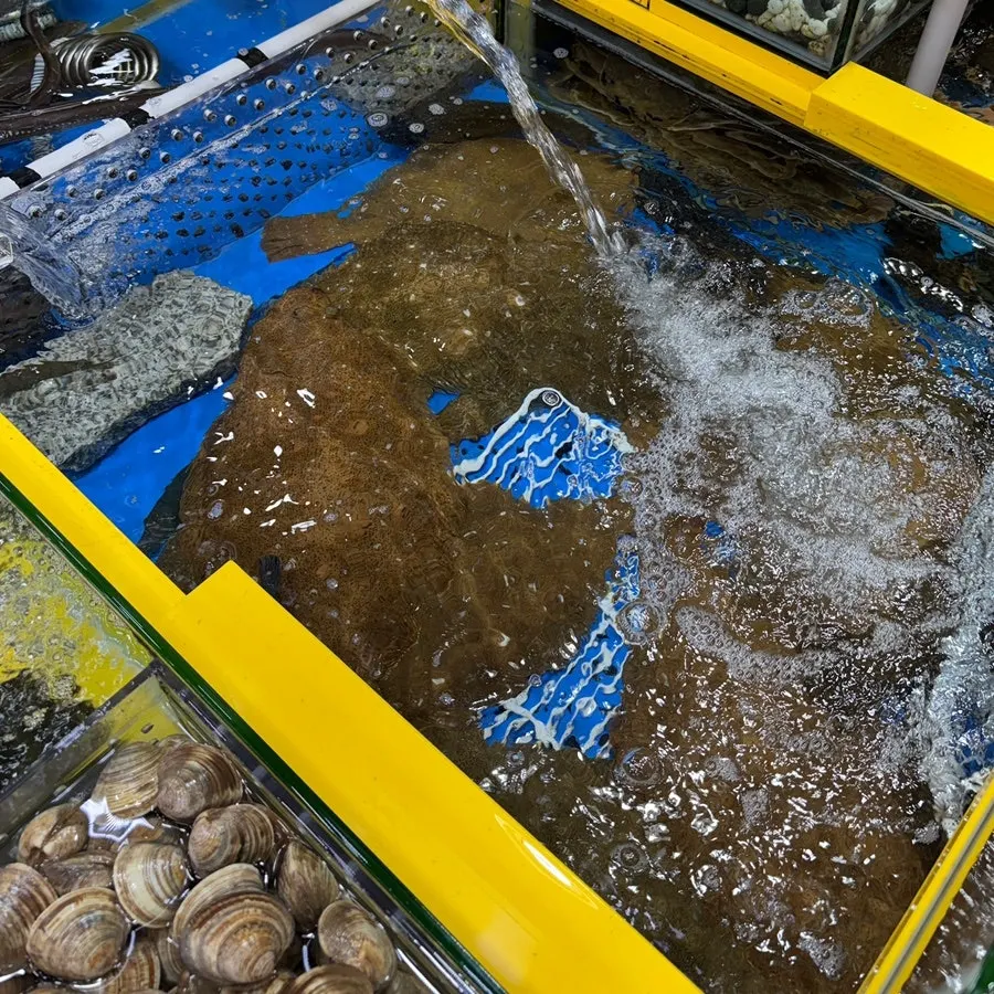 Seafood tanks at Yeongjae Susan