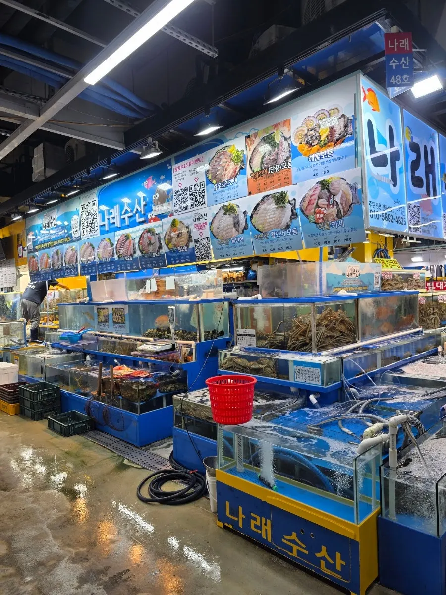 Live fish tanks at Narae Susan