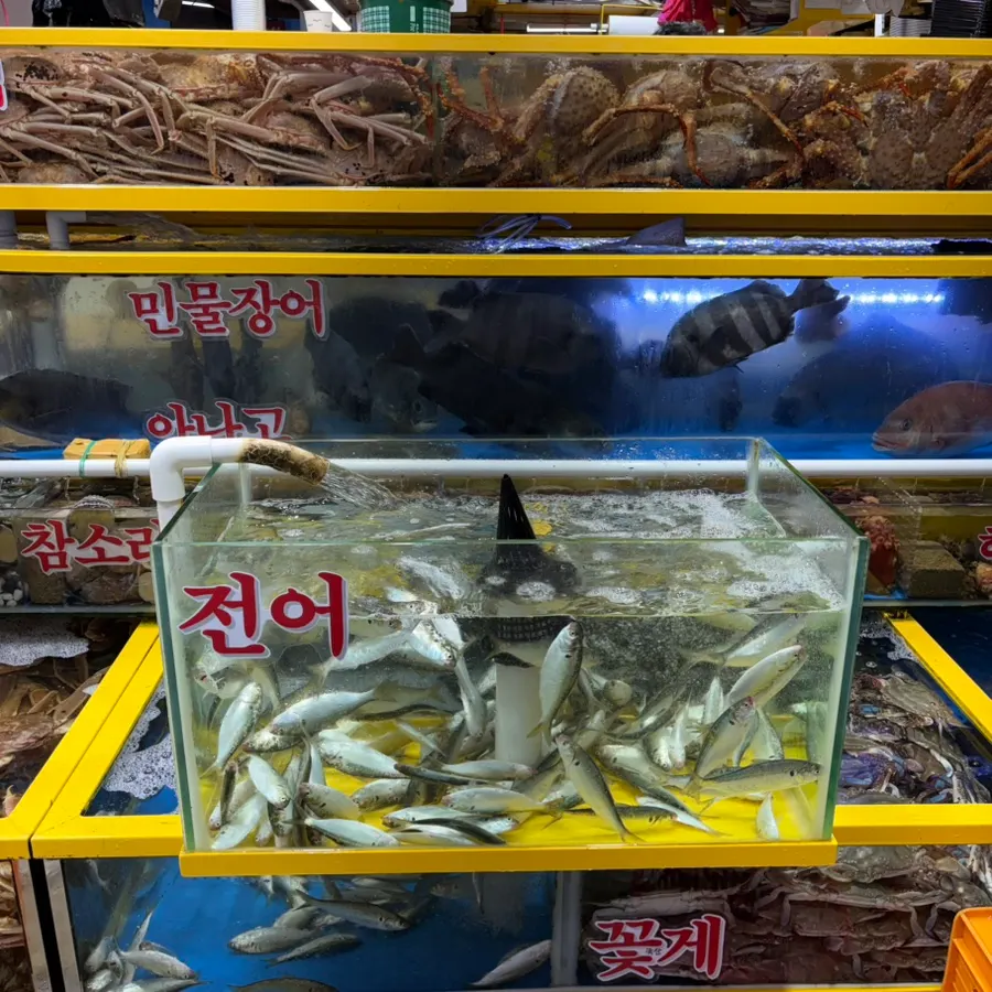 주말 가락시장 수산시장 분위기