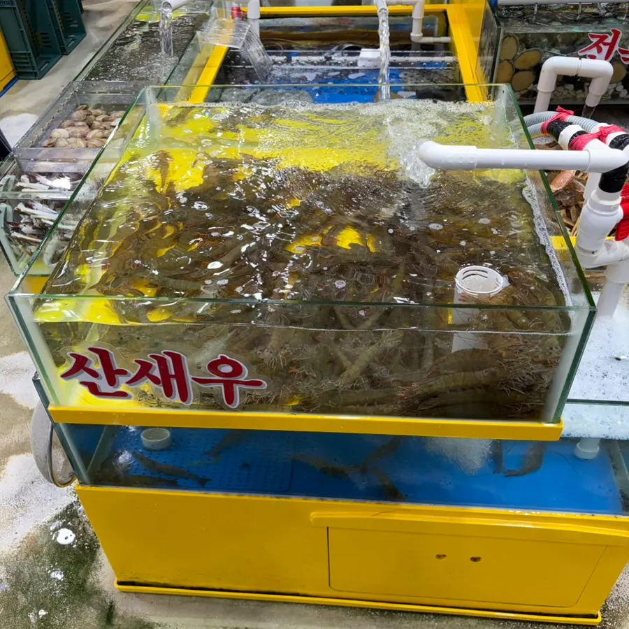 영재수산 수조의 신선한 해산물과 생선