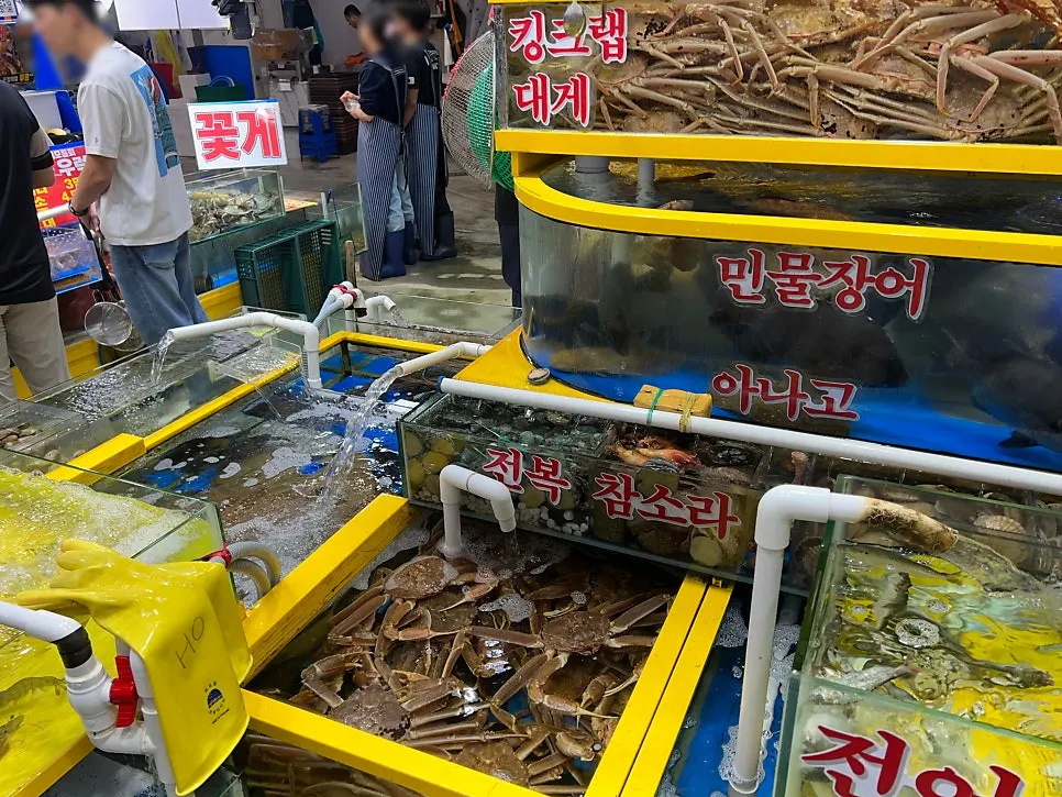 Garak Market Yeongjae Susan sashimi takeaway information