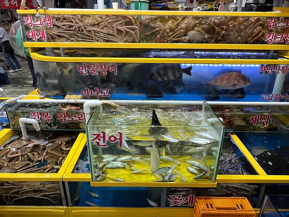 Yeongjae Susan shop at Garak Market