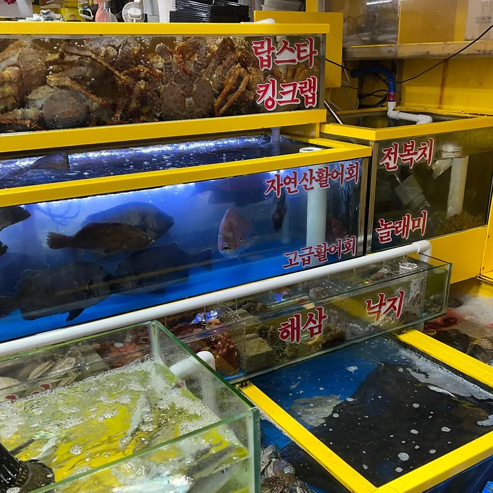 Yeongjae Susan seafood stall at Garak Market