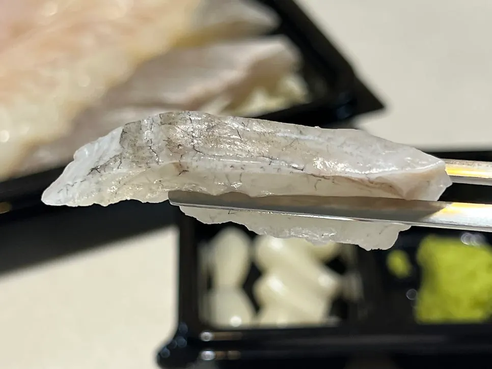One long slice of live fish sashimi