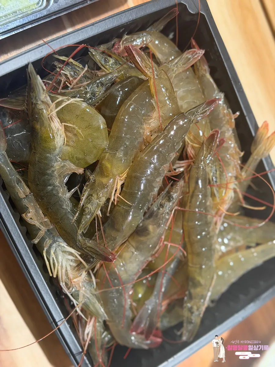 생새우 1kg 계량 모습
