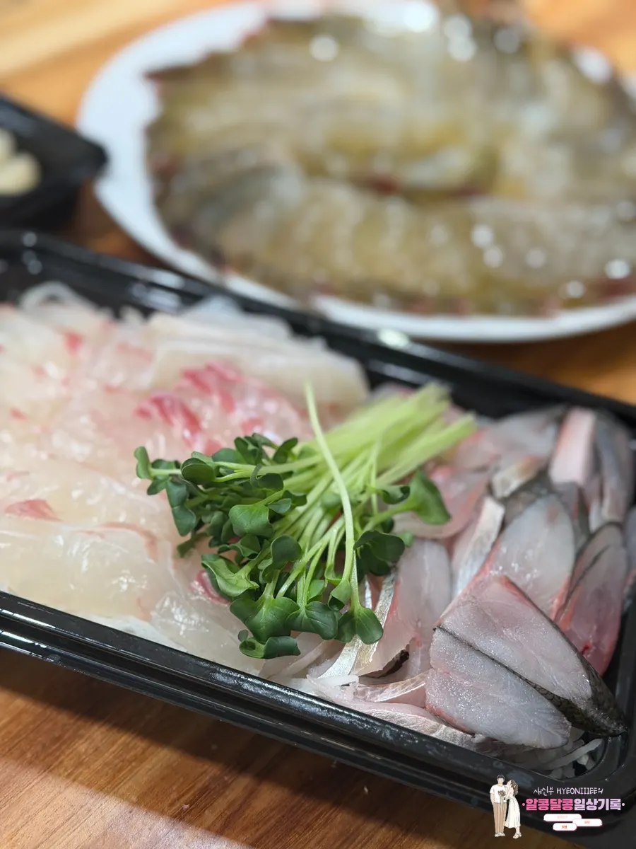탱글한 참돔회