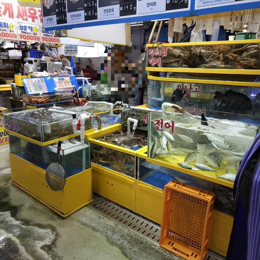 Live fish in the tanks at Yeongjae Susan
