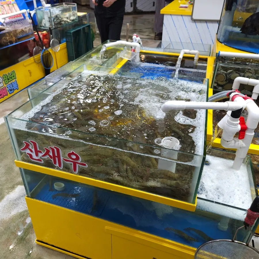 View of Yeongjae Susan's tanks and cutting board area