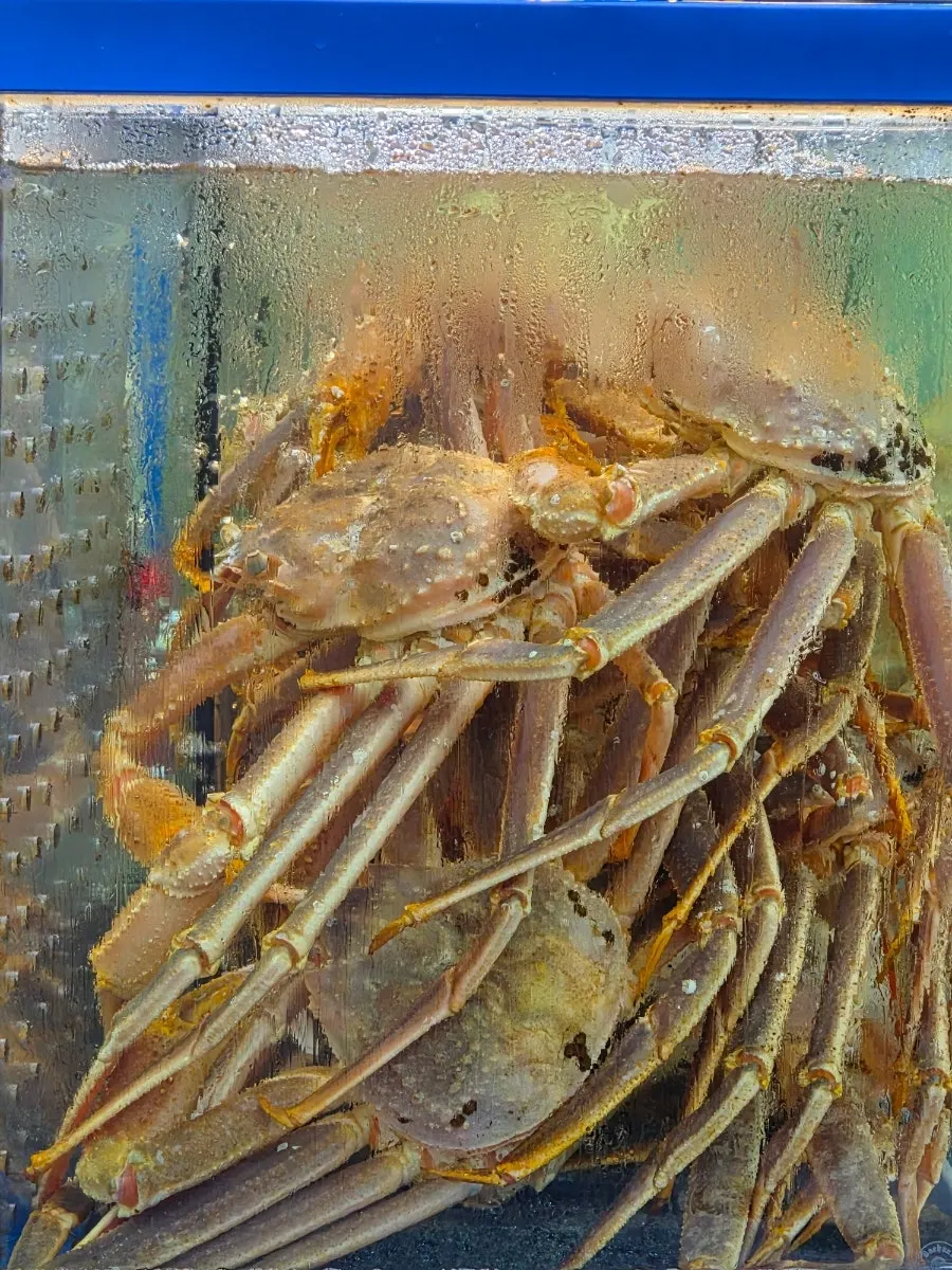 Photo related to a visit to Narae Susan at Garak Market