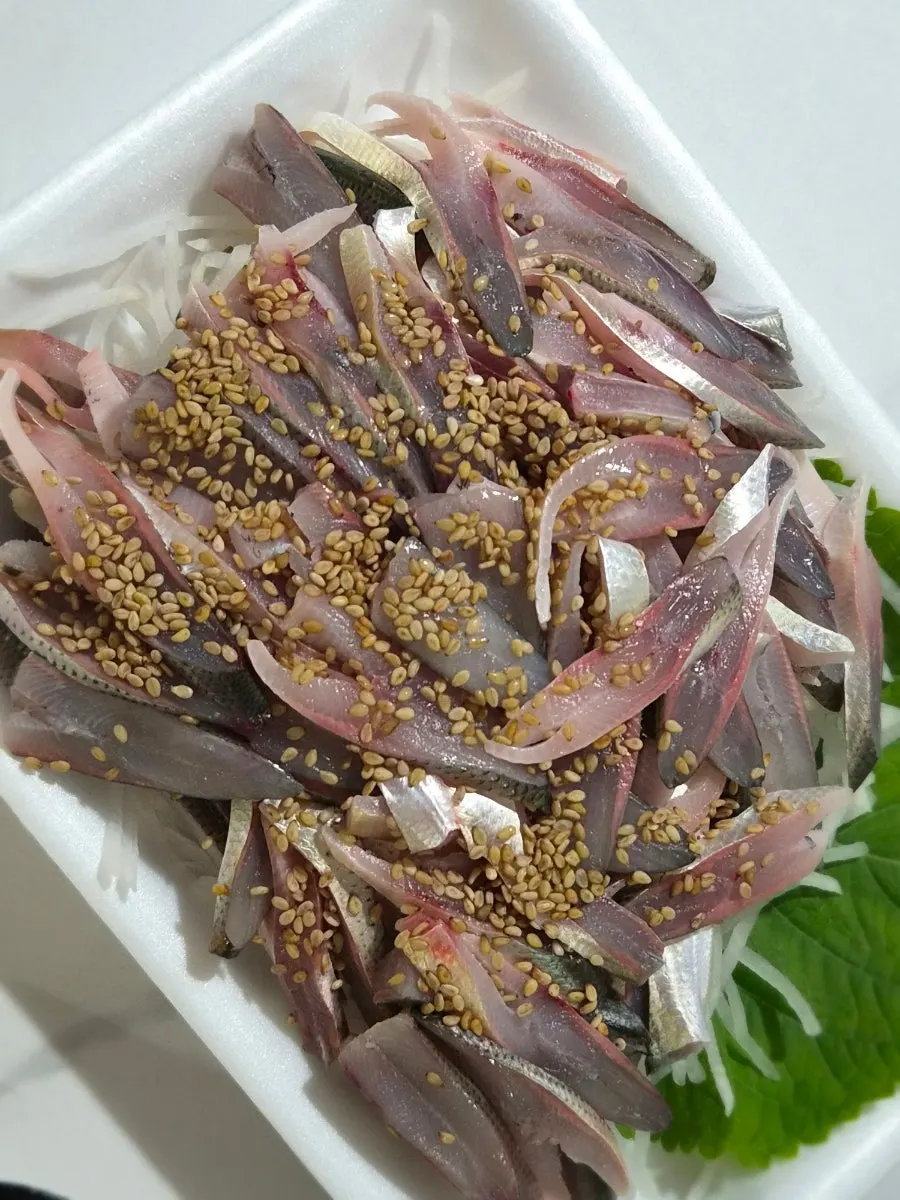 Photo of seasonal gizzard shad sashimi