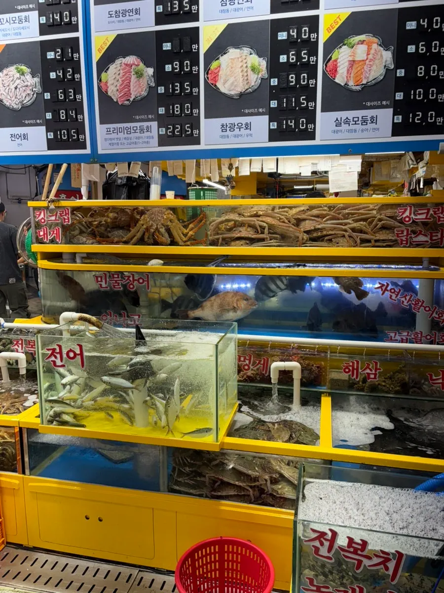 어종 이름이 안내된 영재수산 어항