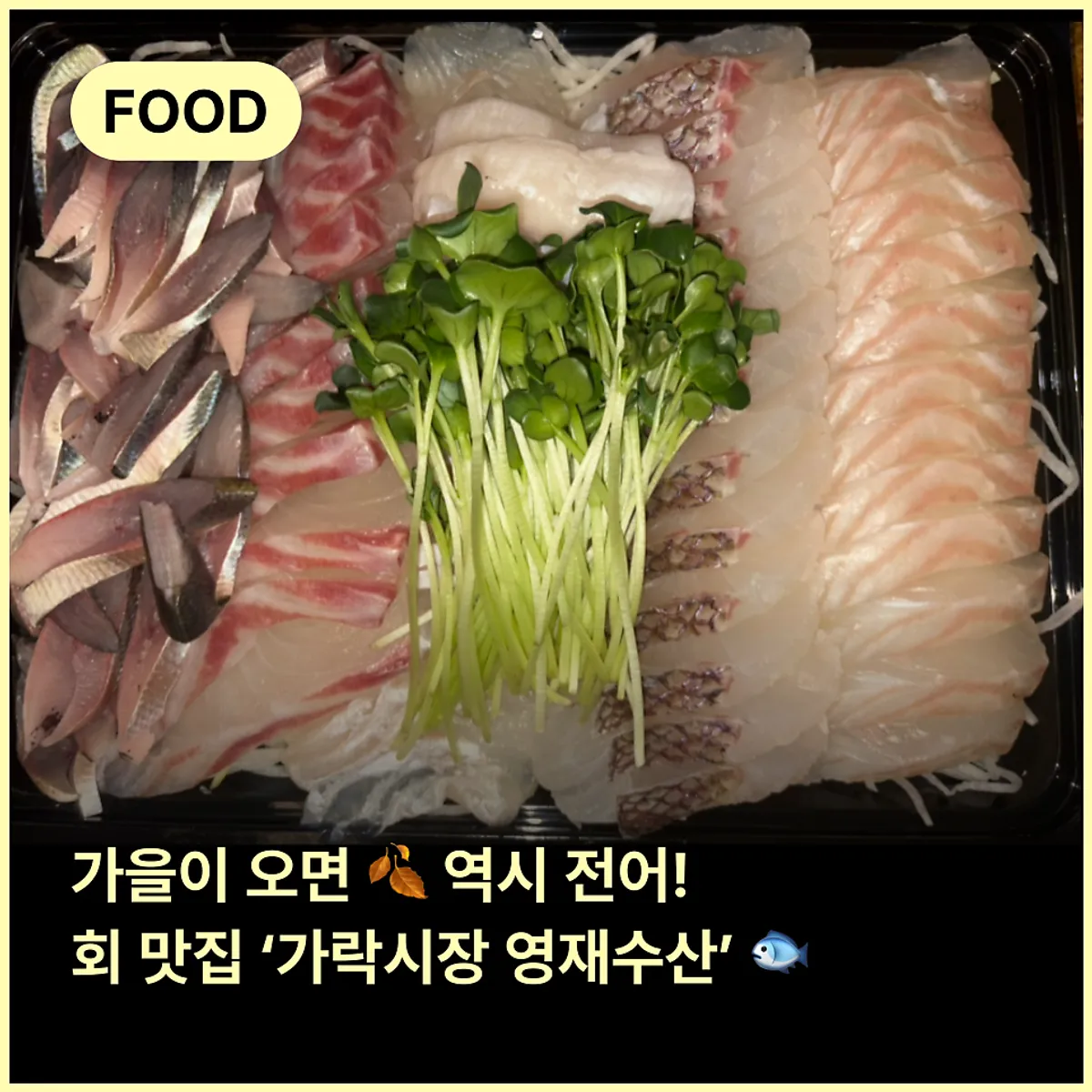 가락시장 영재수산 전어회 포장 대표 이미지