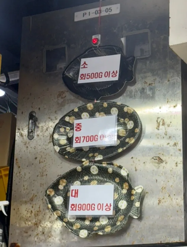 영재수산 수조와 진열대
