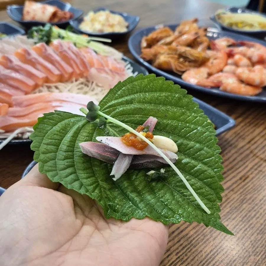 Bone-in sliced gizzard shad sekkoshi sashimi