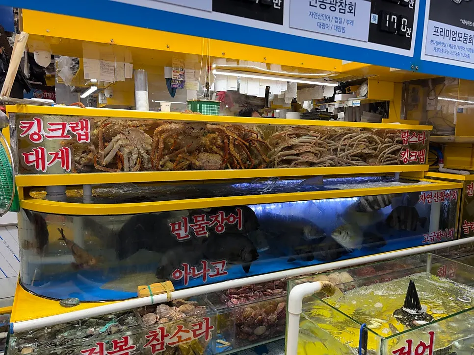 Tank with seasonal live shrimp and gizzard shad
