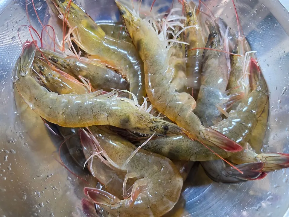 참돔과 광어가 함께 담긴 모듬회
