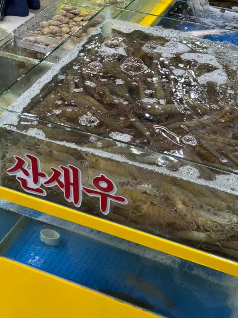 영재수산 이용 시 받는 3시간 무료 주차권