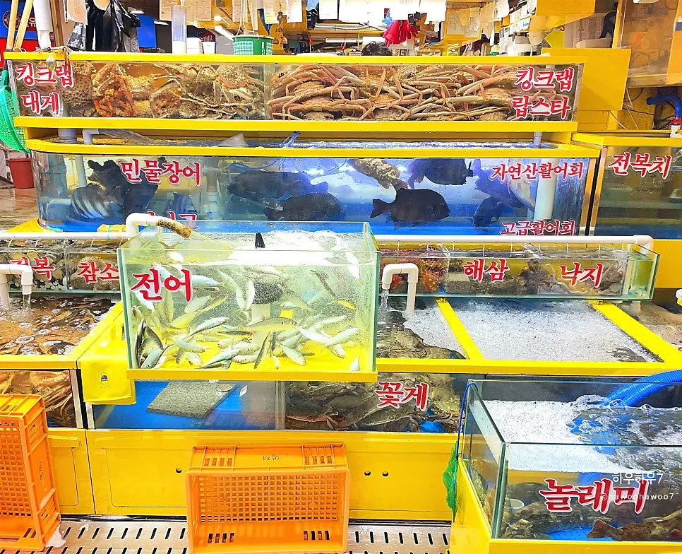 영재수산 매장 내부와 진열대
