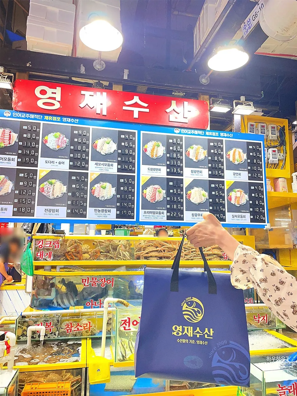 회 준비 중 구경한 매장 수족관