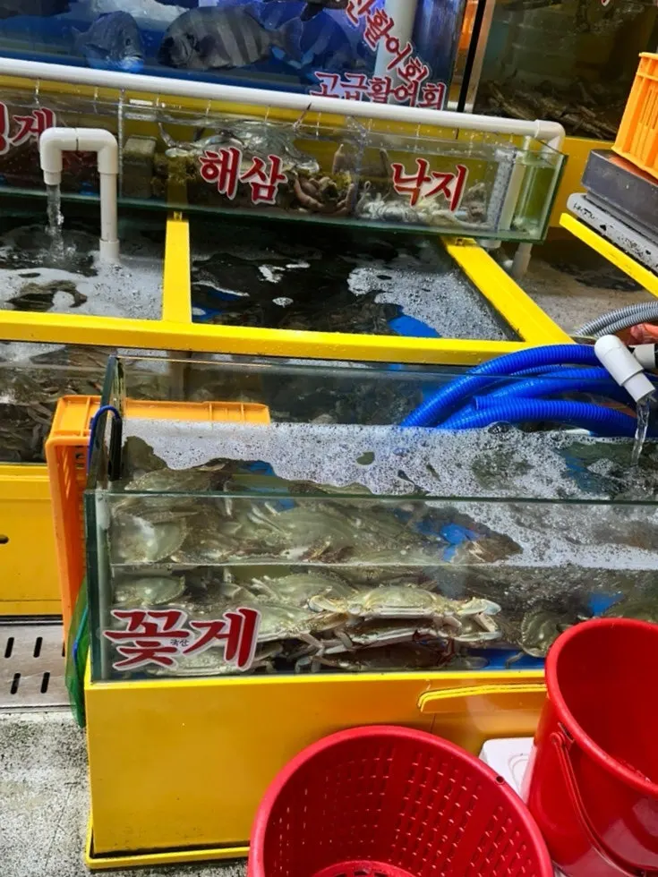 Yeongjae Susan's assorted sashimi platter options