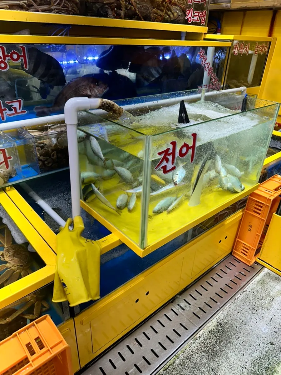 Seasonal seafood on sale at Yeongjae Susan