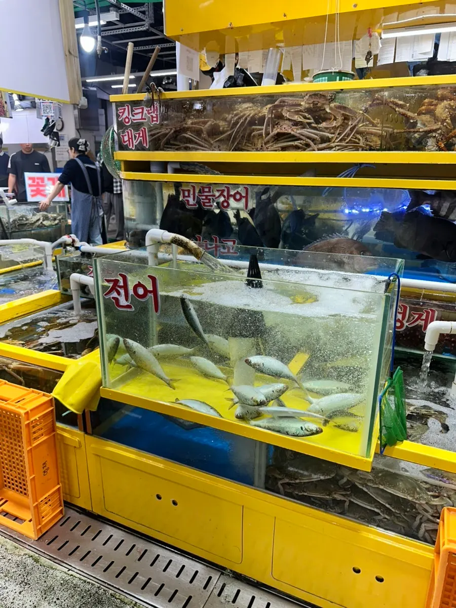 Live shrimp, blue crab, and other seafood on display