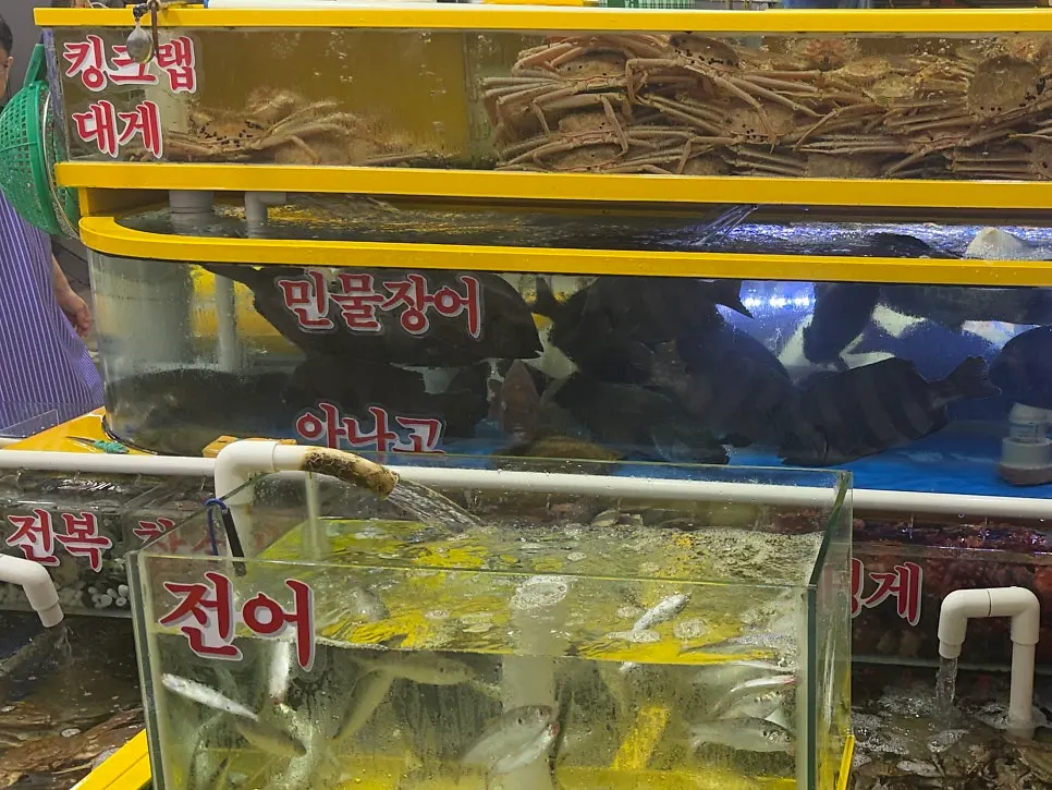 Front of Yeongjae Susan store on the 1st floor of Gaklak Mall's sales building