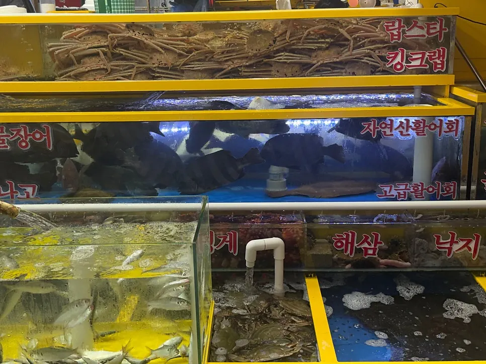 Aisle of shops on the 1st floor of Gaklak Mall's seafood market