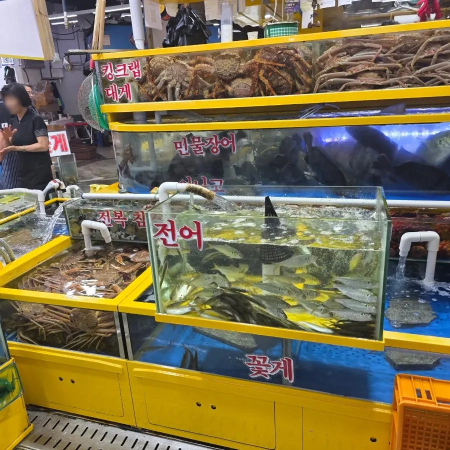 민농광참회 중자와 해삼멍게 주문 준비 모습