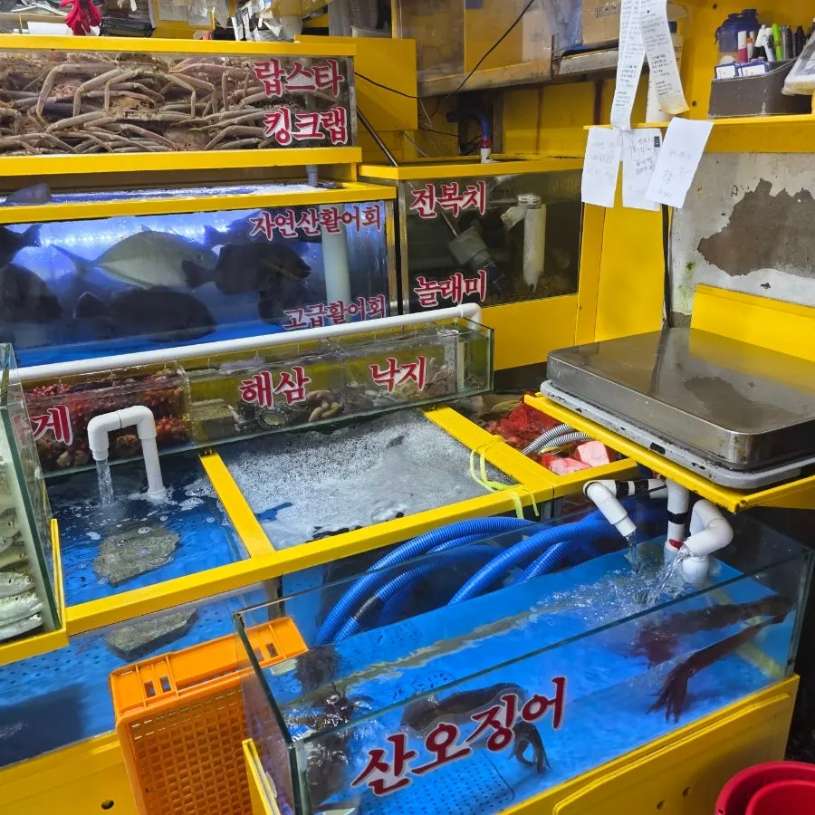 전어와 킹크랩, 해삼 멍게 등 해산물 진열대