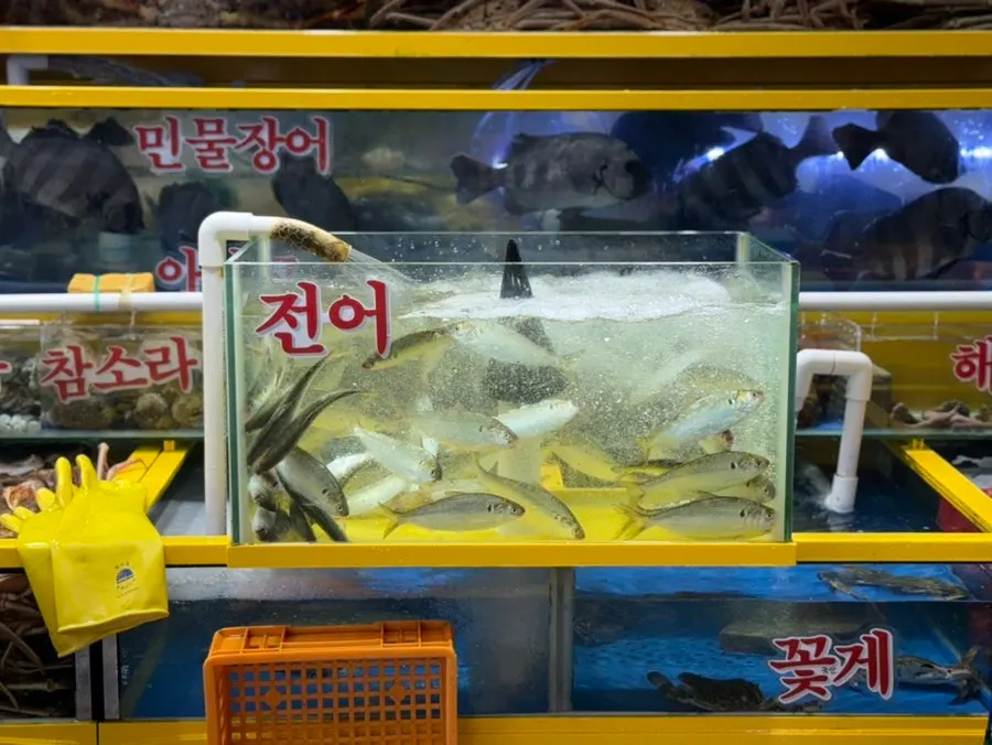 영재수산 매장 앞 모습