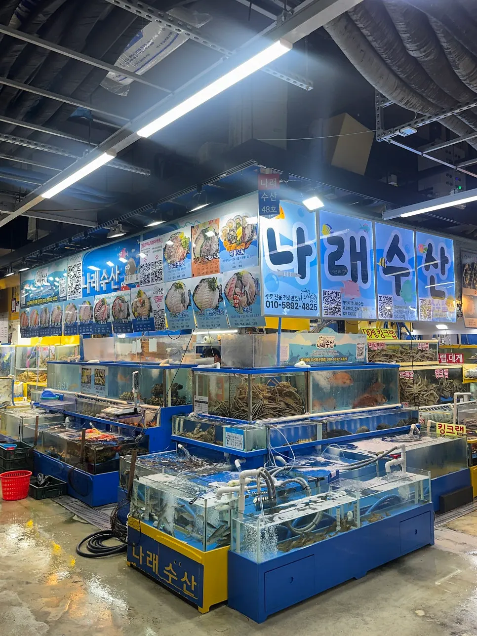 Live fish tanks in front of Narae Susan