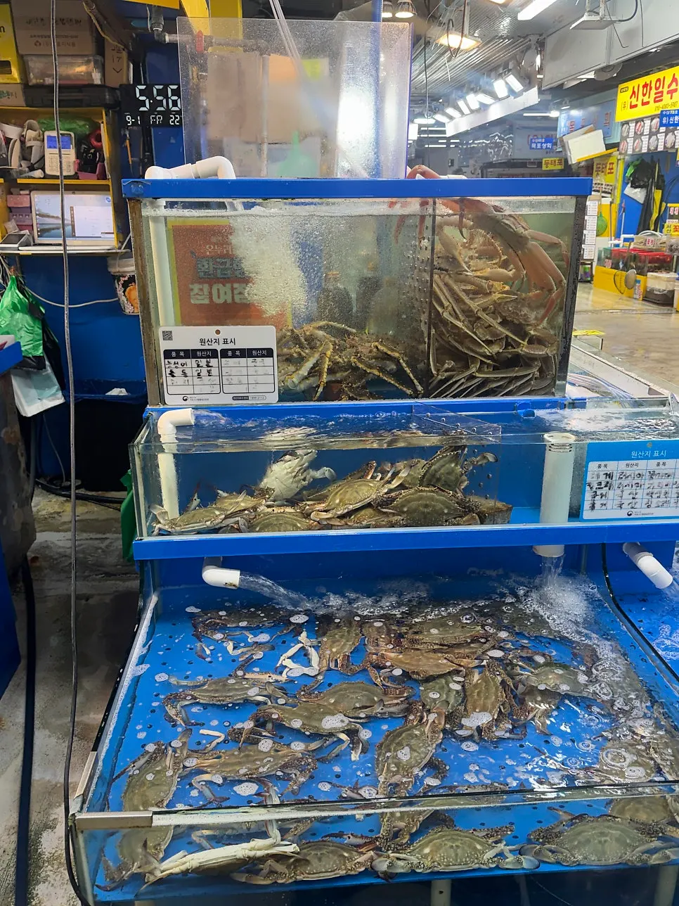 Seafood display at Narae Susan