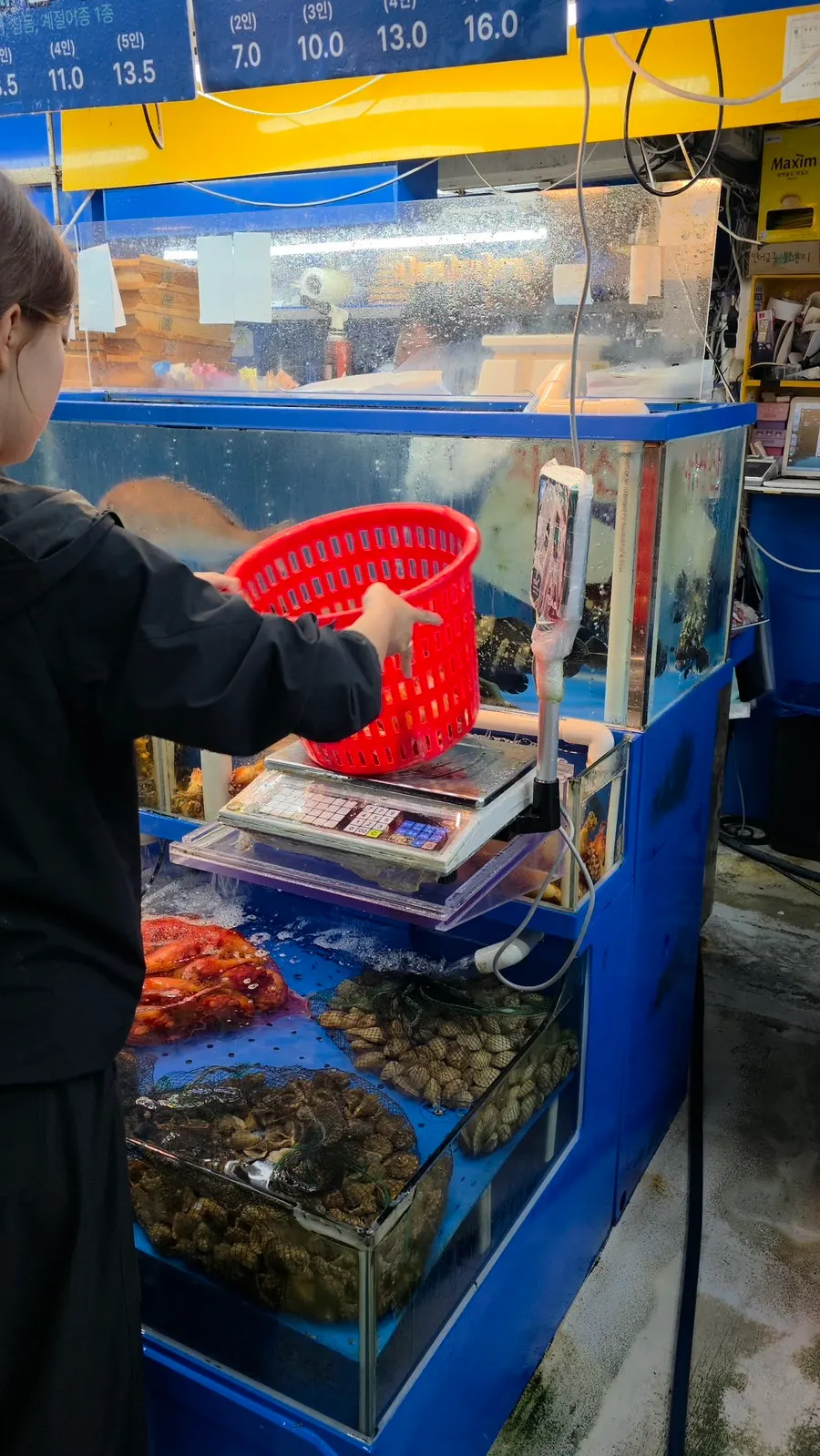 Large blue crabs displayed at Narae Susan's counter