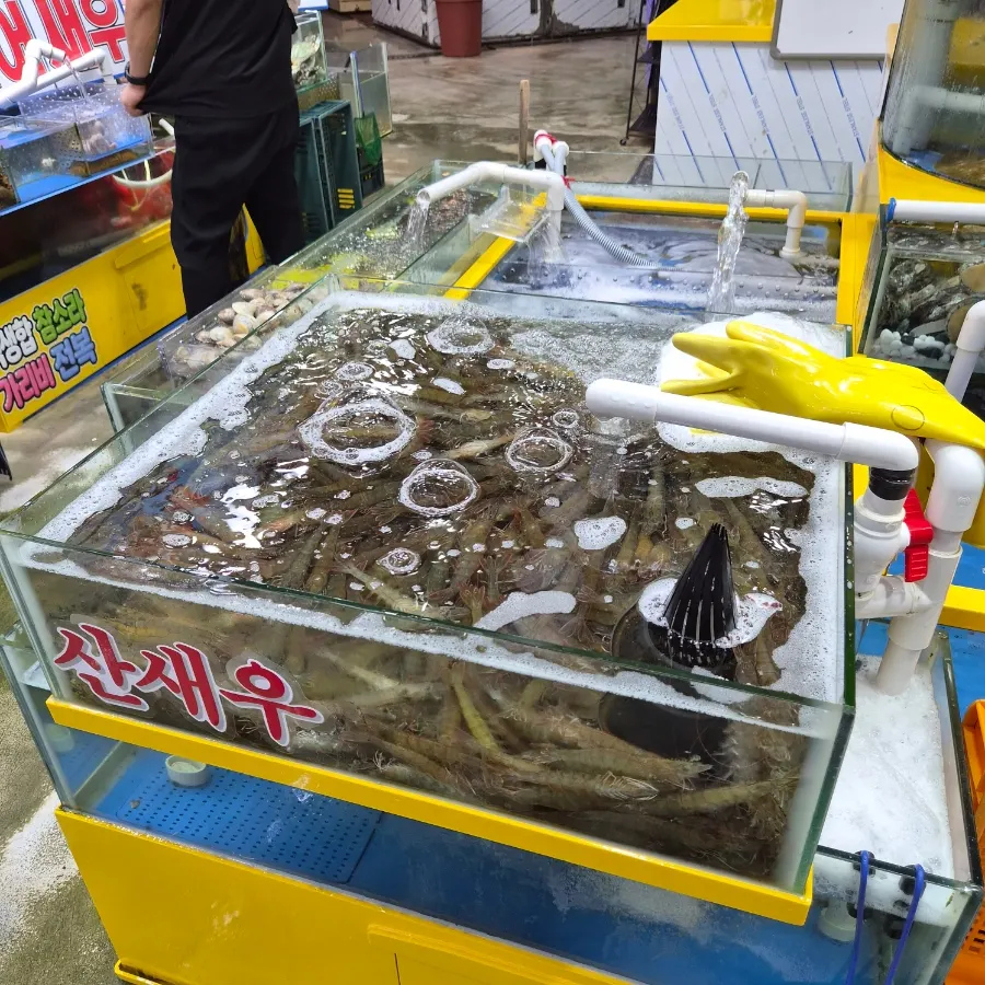 Live fish in the tanks at Yeongjae Susan