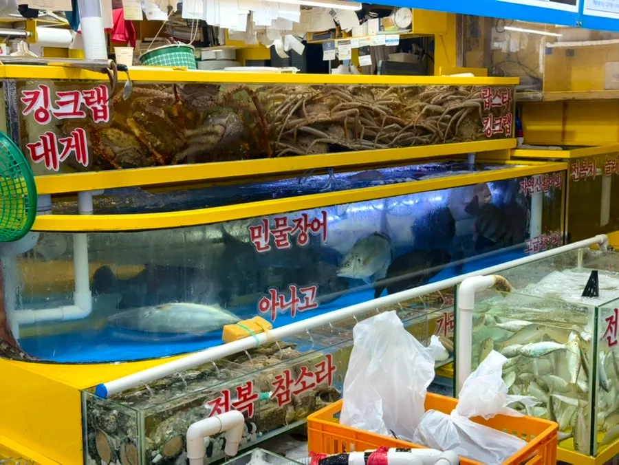Fish tanks and interior of Yeongjae Susan