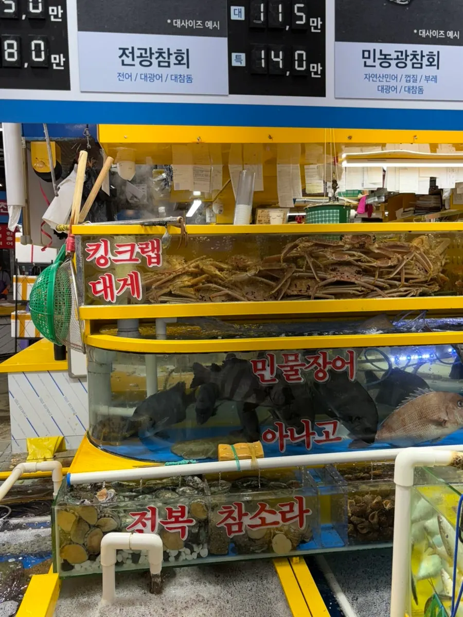 영재수산 수조에 담긴 다양한 활어와 해산물