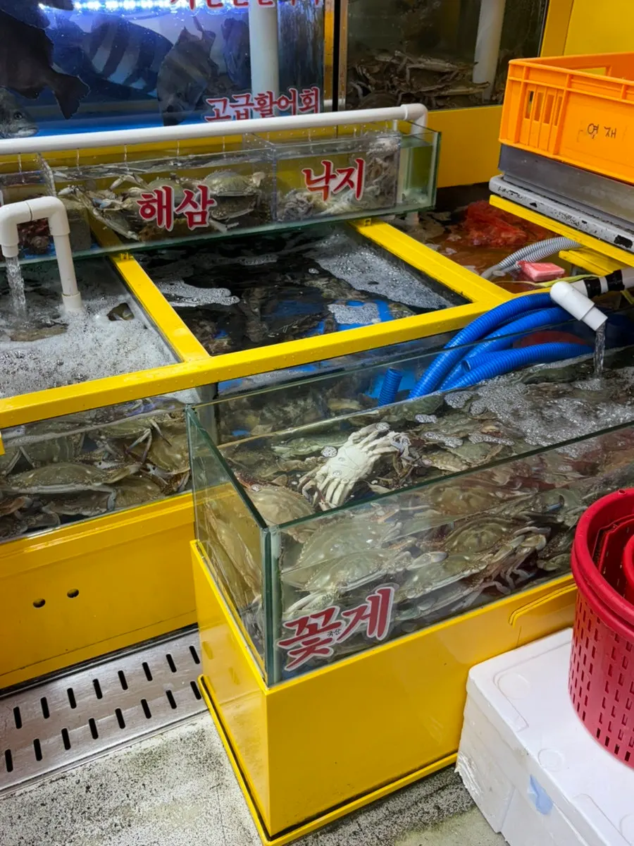 킹크랩과 대게 등 갑각류 수조