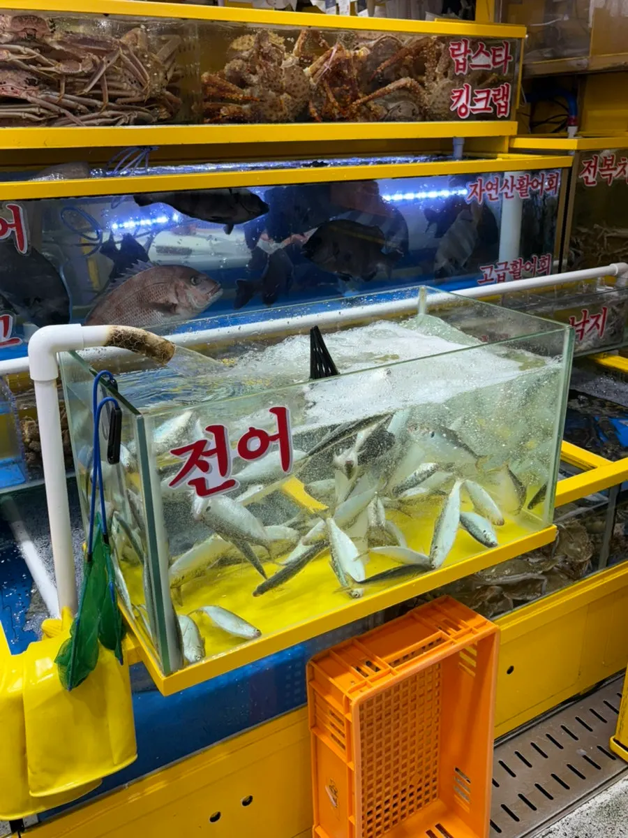 주문을 기다리며 본 영재수산 매장 모습