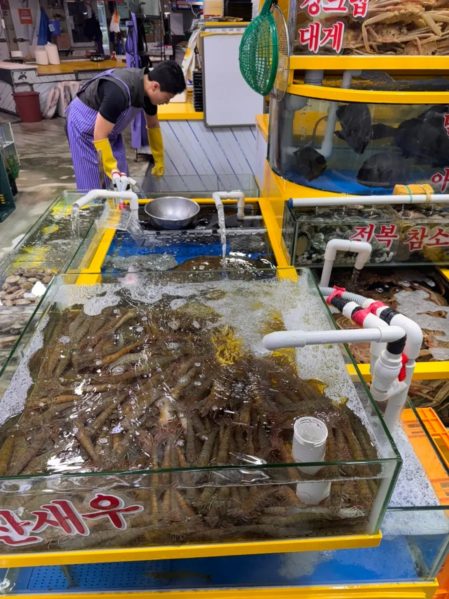 깔끔하게 관리된 수산 매장