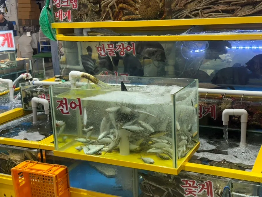 영재수산 수조가 놓인 매장 내부