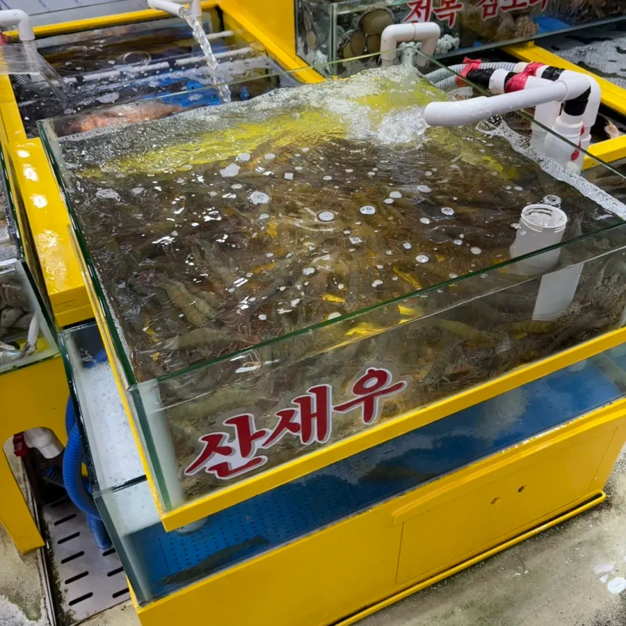 View in front of Yeongjae Susan's fish tanks