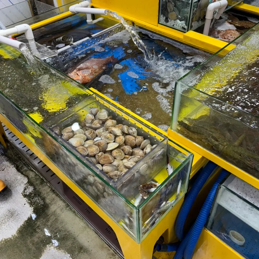Live fish and seafood in the tanks