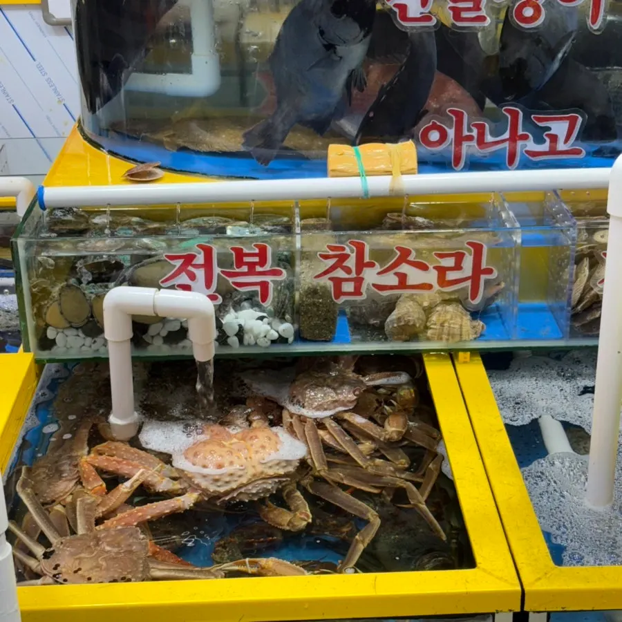 Inside view of the seafood tanks at Yeongjae Susan