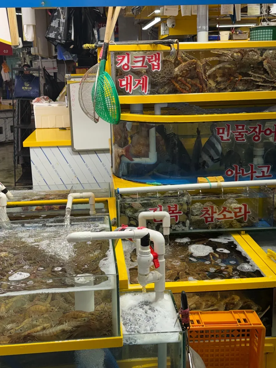 가락몰 판매동 1층 영재수산 매장 앞